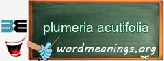 WordMeaning blackboard for plumeria acutifolia